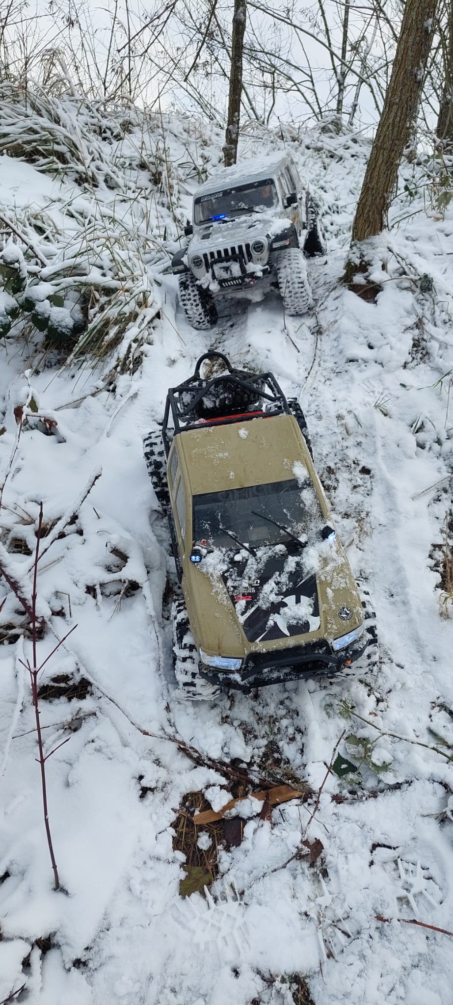 RC045 crawler in de sneeuw